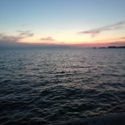 太刀魚 短時間だけ。