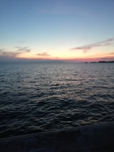 太刀魚 短時間だけ。