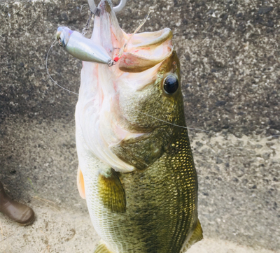 コンディション抜群