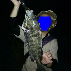 年無しチヌきた！