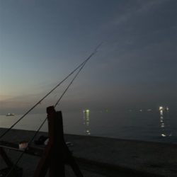 ジグサビキでサゴシ