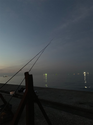 ジグサビキでサゴシ