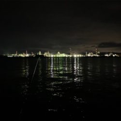 渋くなったタチウオ