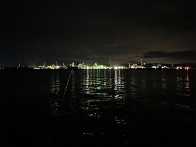 渋くなったタチウオ