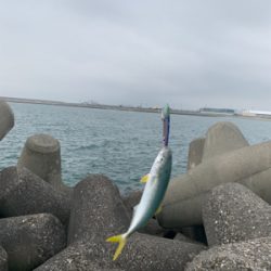 ライトショアジギング！