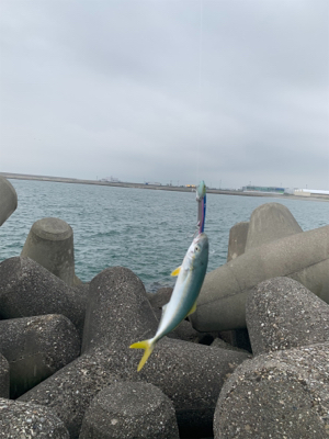 ライトショアジギング！