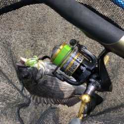 戦闘機が頭上を飛ぶ。チニング