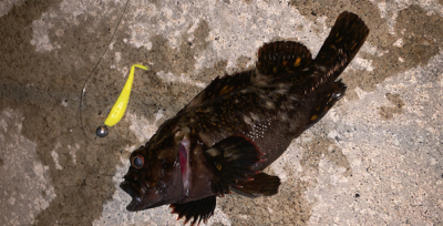 ６０分一本勝負！