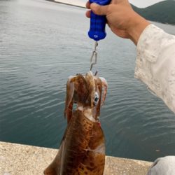 梅雨の合間で記録更新