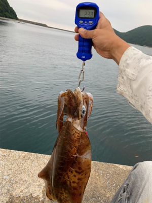 梅雨の合間で記録更新