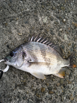 厳戒態勢中の釣り