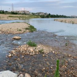 夕方ナマズゲーム