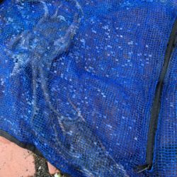 オクトパッシング