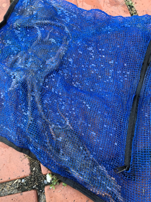 オクトパッシング