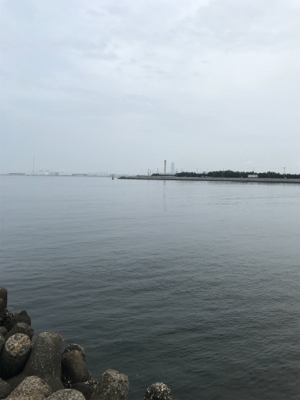 G20 ツバスはいない、アジも単独。