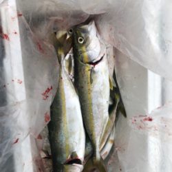 スーパーライトショアジギング