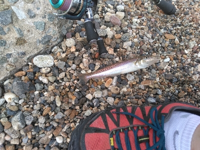 次の日もサッパリ