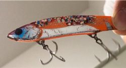 今日は渋め！でも収穫^_^