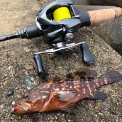 ゆる〜くライトロック！