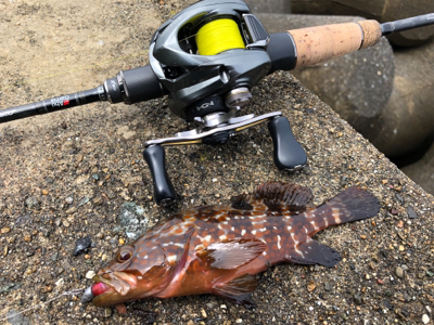 ゆる〜くライトロック！