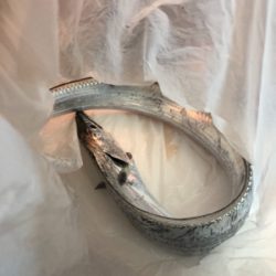 逃した魚は大きい??