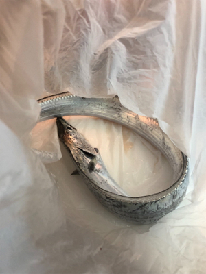 逃した魚は大きい??