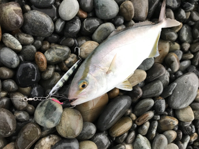 七里御浜ショアジギング