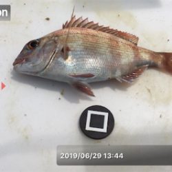 梅雨の晴れ間に投げ釣り