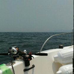 明石沖で真鯛釣り