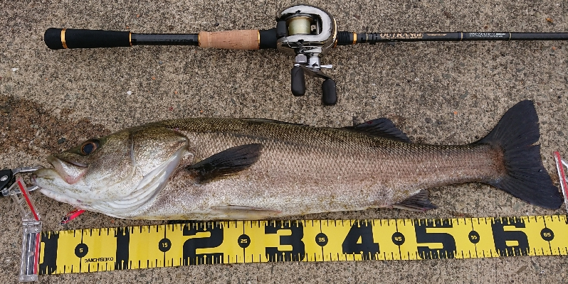 令和一の停泊船ゲーム