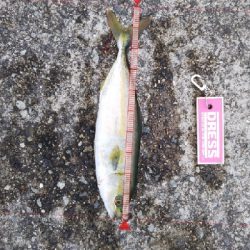 渋くなってきた。