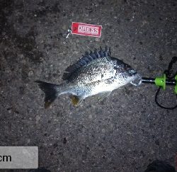 1年振りのいつもの所