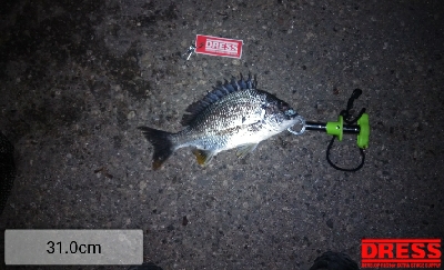 1年振りのいつもの所