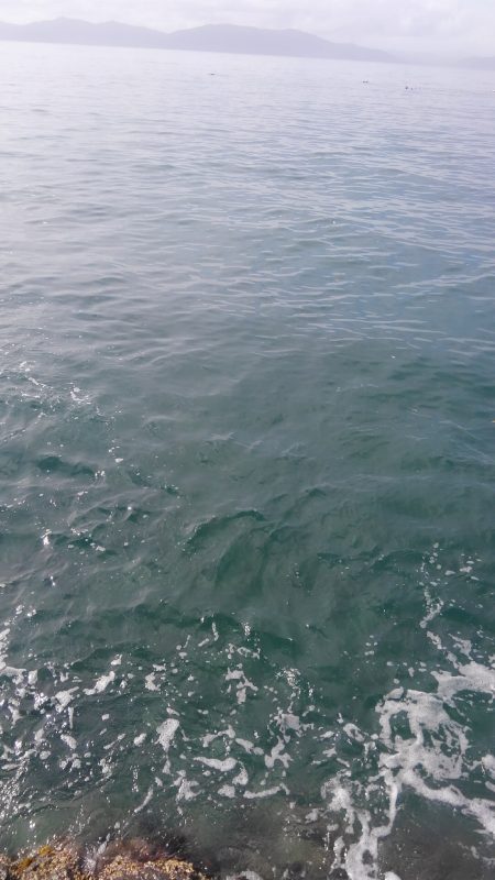 ケンサキ初ヒット~⤴