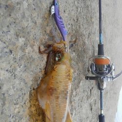 ちいさい秋みぃつけた～