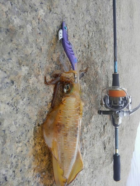 ちいさい秋みぃつけた～