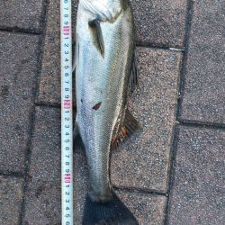 潮見さざなみ公園