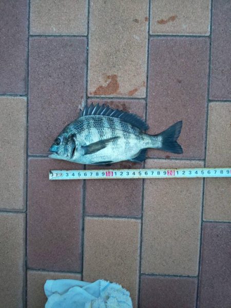 3目達成　~辰巳橋付近~