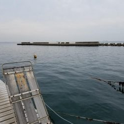 ファミリー豆アジ爆釣り