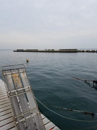 ファミリー豆アジ爆釣り