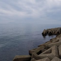 今日は、塩焼きで
