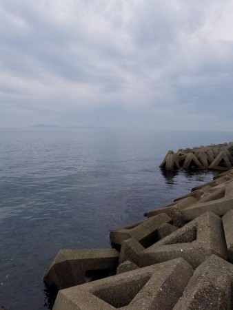 今日は、塩焼きで