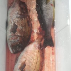 腕さえあれば・・・