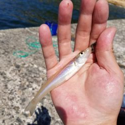 ちょい投げキス