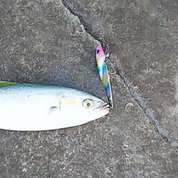 また逢う日まで～