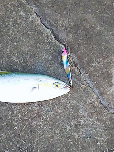 また逢う日まで～