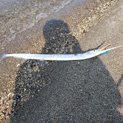 初ウェーディング