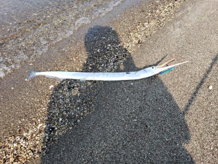 初ウェーディング