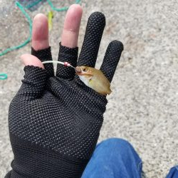 ミニミニだらけ！