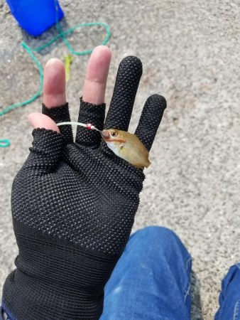 ミニミニだらけ！